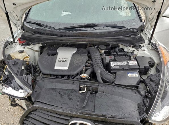 KMHTC6AE6GU302568 2016 HYUNDAI VELOSTER White Rear interior view