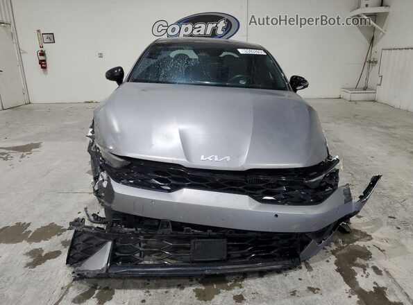 KNAG44J89S5349420 2025 KIA K5 Серебряный Панорамный вид салона 360°