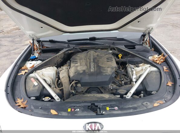 KNAS34J69K6014518 2019 KIA K900 White Widok z tyłu