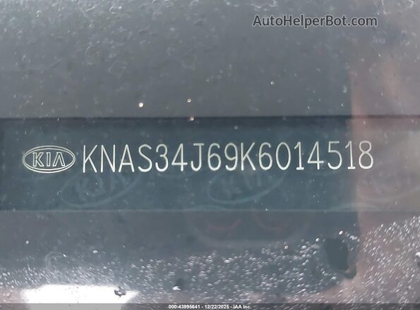 KNAS34J69K6014518 2019 KIA K900 White Widok komory silnika