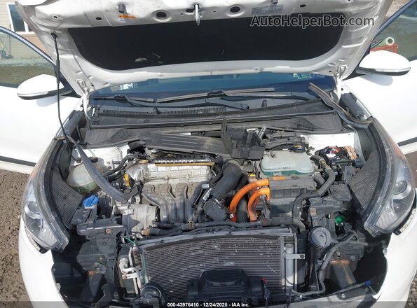 KNDCC3LC2H5033365 2017 KIA NIRO Белый Вид сзади