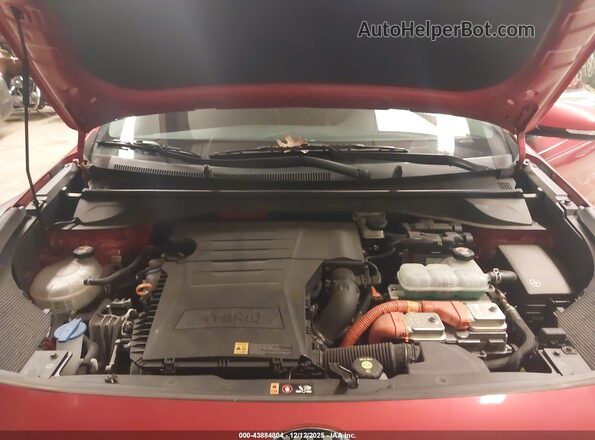KNDCC3LC6L5394980 2020 KIA NIRO Orange Widok z tyłu