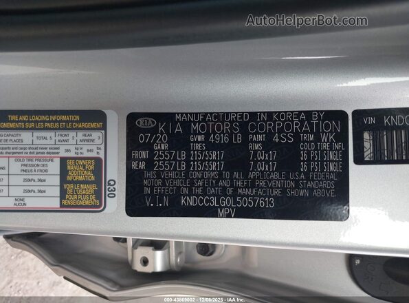 KNDCC3LG0L5057613 2020 KIA NIRO EV Silver Вид підкапотного простору