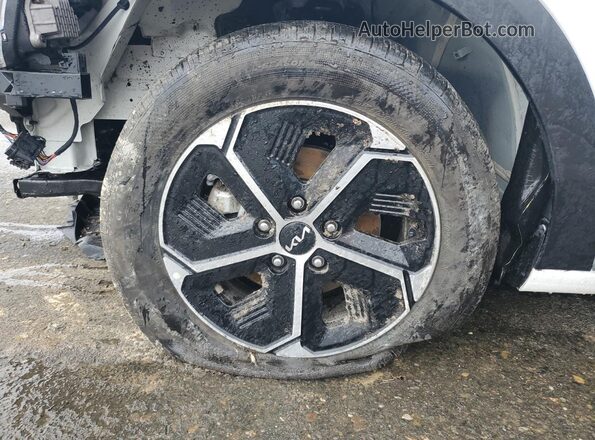 KNDCP3LE7S5300805 2025 KIA NIRO White 