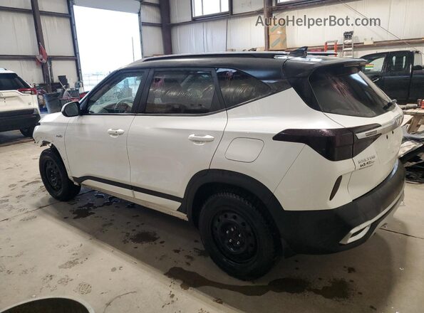 KNDERCAA5P7403087 2023 KIA SELTOS White უკანა მარცხენა