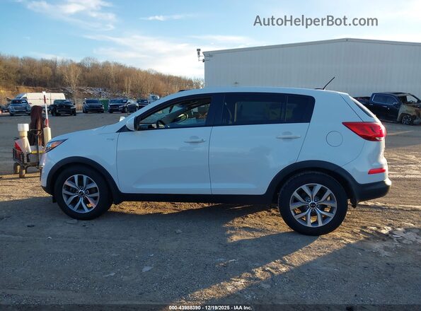 KNDPBCAC3G7848894 2016 KIA SPORTAGE White Սալոնի 360 աստիճան տեսք