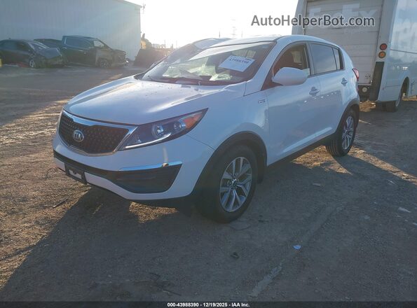 KNDPBCAC3G7848894 2016 KIA SPORTAGE White Առջևի ձախ երեք քառորդ տեսարան