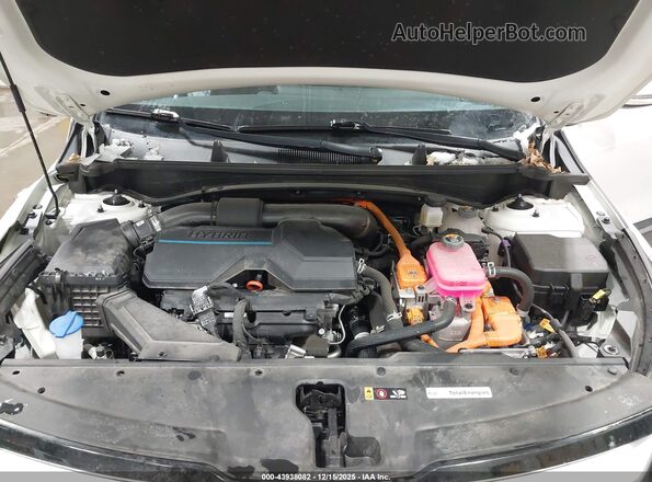 KNDPVCAG0P7082178 2023 KIA SPORTAGE HYBRID White Vista trasera
