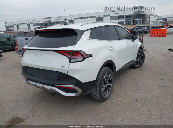 KNDPVCAG6P7099096 2023 KIA SPORTAGE HYBRID White Հետևի աջ
