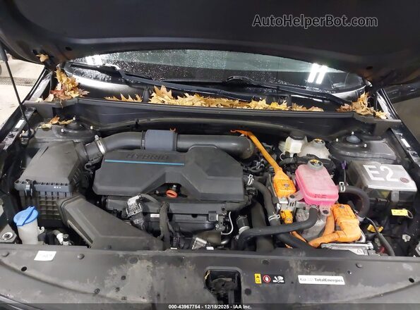 KNDPVCAG8P7026022 2023 KIA SPORTAGE HYBRID Black Vista trasera