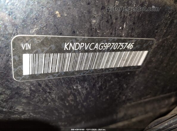 KNDPVCAG9P7075746 2023 KIA SPORTAGE HYBRID Blue Vista del compartimento del motor