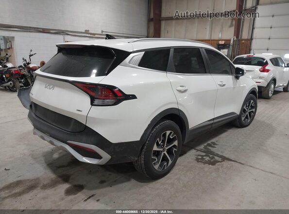 KNDPVCAG9P7112102 2023 KIA SPORTAGE HYBRID White Rear right