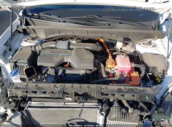 KNDRH4LG8P5175593 2023 KIA SORENTO HYBRID Белый Вид сзади