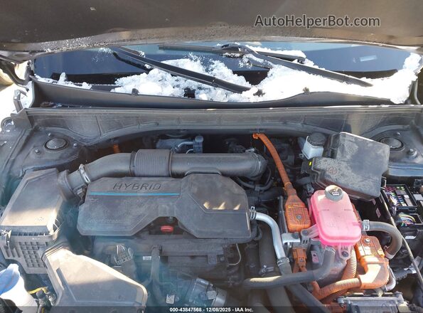 KNDRHDLG6R5248477 2024 KIA SORENTO HYBRID Black Widok z tyłu