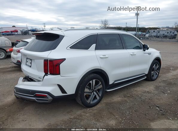 KNDRKDLGXP5204058 2023 KIA SORENTO HYBRID White უკანა მარჯვენა