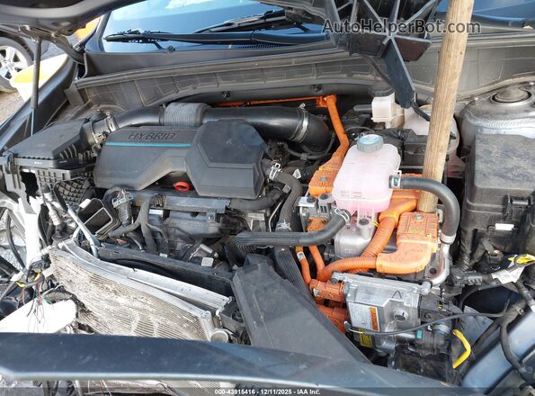KNDRMDLG2P5144383 2023 KIA SORENTO HYBRID Gray Widok z tyłu