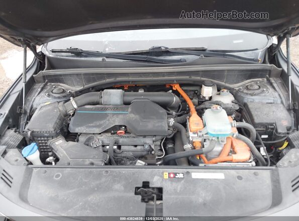 KNDRMDLH8N5118876 2022 KIA SORENTO PLUG-IN HYBRID Gray უკანა ხედი