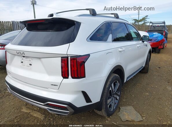 KNDRMDLHXP5195025 2023 KIA SORENTO PLUG-IN HYBRID White უკანა მარჯვენა