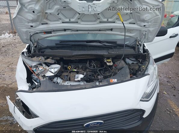 NM0LS7E23L1450456 2020 FORD TRANSIT CONNECT White Հետևի տեսք