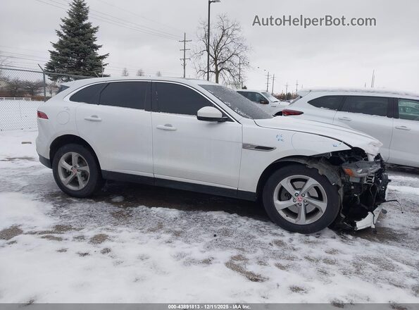 SADCJ2EX3PA712152 2023 JAGUAR F-PACE White Widok wnętrza z tyłu