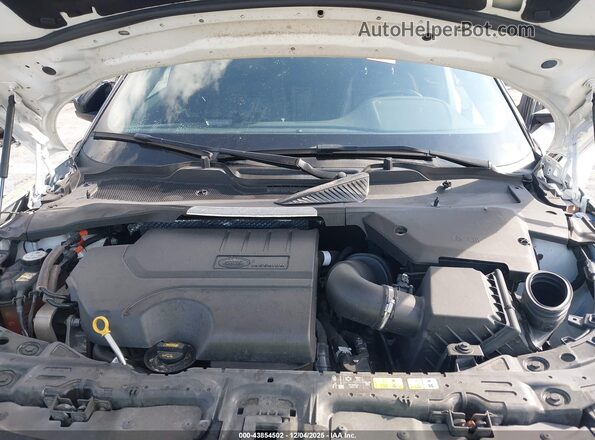 SALZT2FX8PH185787 2023 LAND ROVER RANGE ROVER EVOQUE Белый Вид сзади