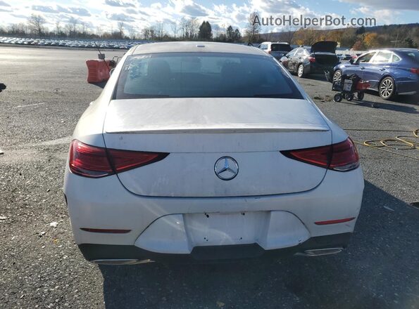 W1K2J5KB5LA073130 2020 MERCEDES-BENZ CLS-CLASS White Vista trasera