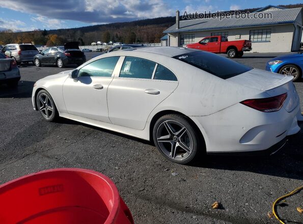 W1K2J5KB5LA073130 2020 MERCEDES-BENZ CLS-CLASS White Trasero izquierdo