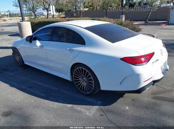 W1K2J5KB5PA112255 2023 MERCEDES-BENZ CLS-CLASS White Tył lewy