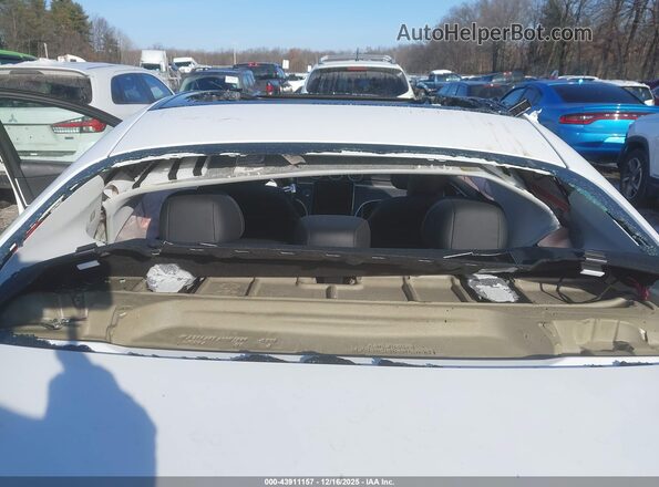 W1KAF4HB6PR082098 2023 MERCEDES-BENZ C-CLASS Белый Вид спереди