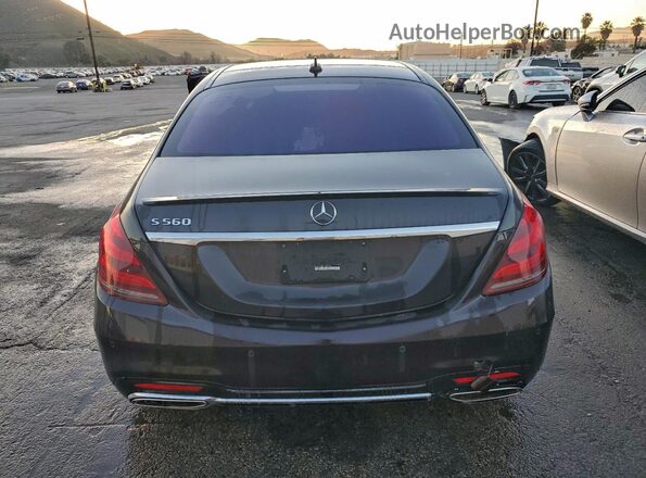 W1KUG8DB1LA558709 2020 MERCEDES-BENZ S Purple Vista trasera