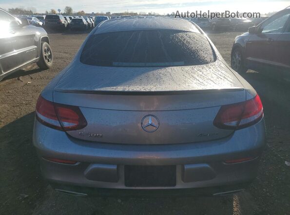 W1KWJ8EB4MG063802 2021 MERCEDES-BENZ C Silver Вид ззаду