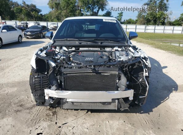 WA114AFY4N2095518 2022 AUDI SQ5 White Вид спереду