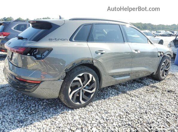 WA15ABGE7RB031094 2024 AUDI Q8 Gray Tył prawy