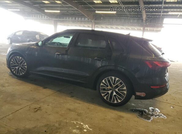 WA16ABGE0RB004730 2024 AUDI Q8 Black Задня ліва чверть