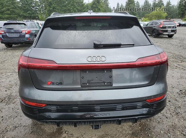 WA16CBGE1RB052019 2024 AUDI SQ8 Black Widok z tyłu
