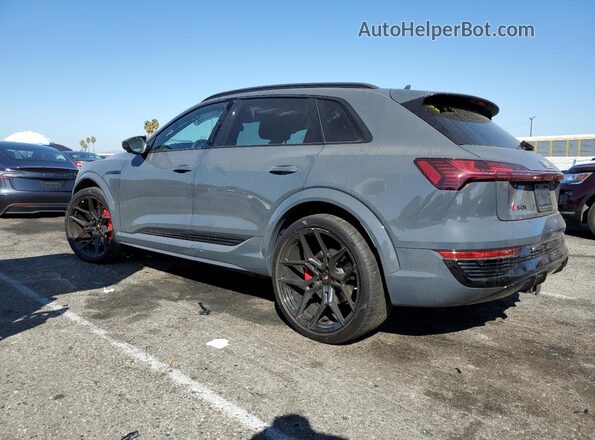 WA16CBGE4RB045520 2024 AUDI SQ8 Gray უკანა მარცხენა