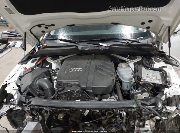 WA18ABF40RA004749 2024 AUDI OTHER Белый Вид сзади