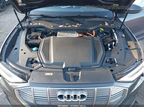 WA1AAAGE0MB020567 2021 AUDI E-TRON Gray Հետևի տեսք