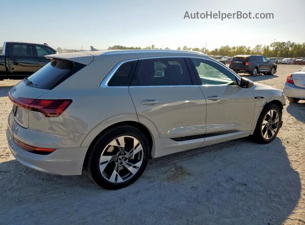WA1AAAGE2NB005795 2022 AUDI E-TRON Gray Rear right