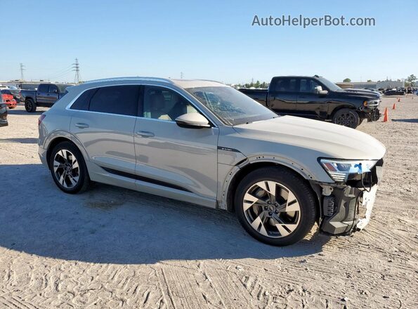 WA1AAAGE2NB005795 2022 AUDI E-TRON Gray Front right