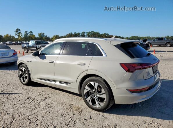 WA1AAAGE2NB005795 2022 AUDI E-TRON Gray Rear left