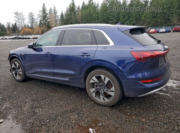 WA1AAAGE7MB013695 2021 AUDI E-TRON Blue Rear left