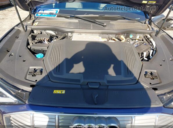 WA1AAAGEXMB013559 2021 AUDI E-TRON Blue Հետևի տեսք