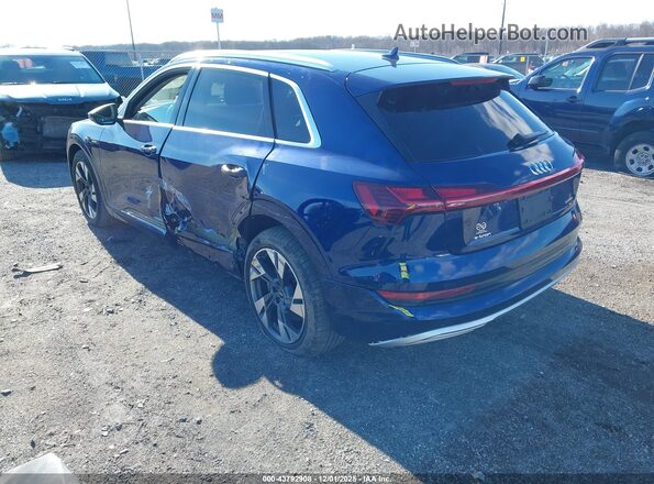 WA1AAAGEXMB013559 2021 AUDI E-TRON Blue Հետևի ձախ