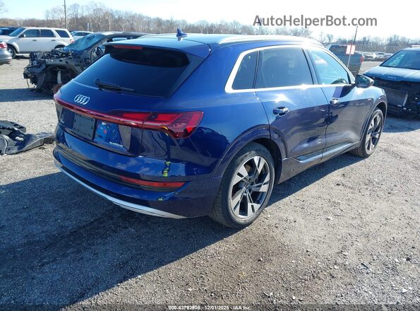 WA1AAAGEXMB013559 2021 AUDI E-TRON Blue Հետևի աջ