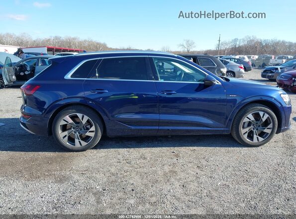 WA1AAAGEXMB013559 2021 AUDI E-TRON Blue Սալոնի հետևի տեսք
