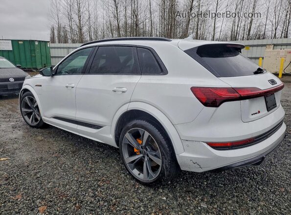 WA1ACBGE3NB040250 2022 AUDI E-TRON White Trasero izquierdo