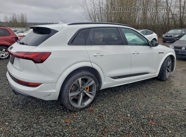 WA1ACBGE3NB040250 2022 AUDI E-TRON White Trasero derecho