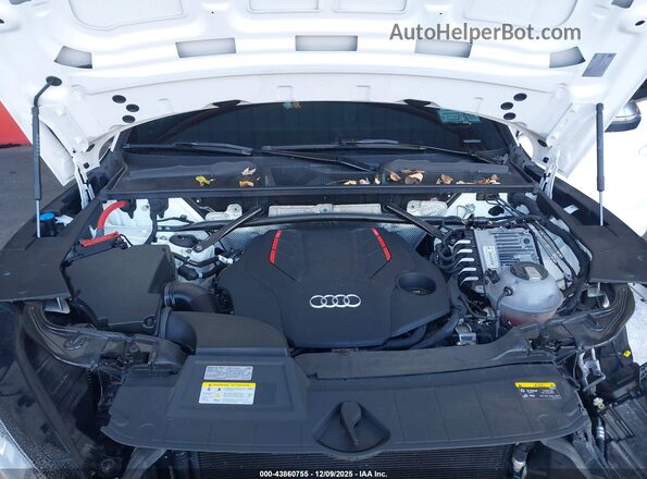 WA1C4AFY0P2030449 2023 AUDI SQ5 White Rear view