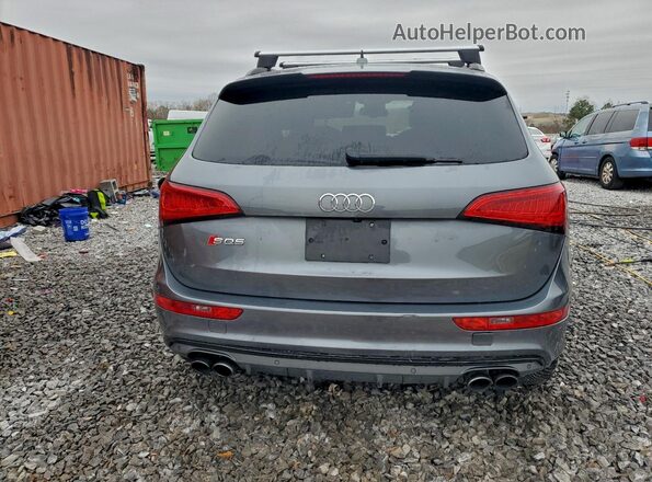 WA1CCAFP9GA037111 2016 AUDI SQ5 Gray Вид ззаду